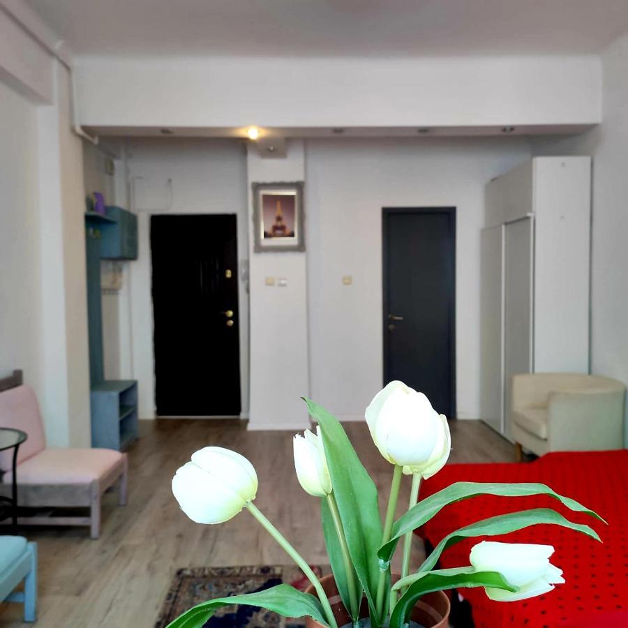 דירות Garsoniera Centrul Bucurestiului מראה חיצוני תמונה